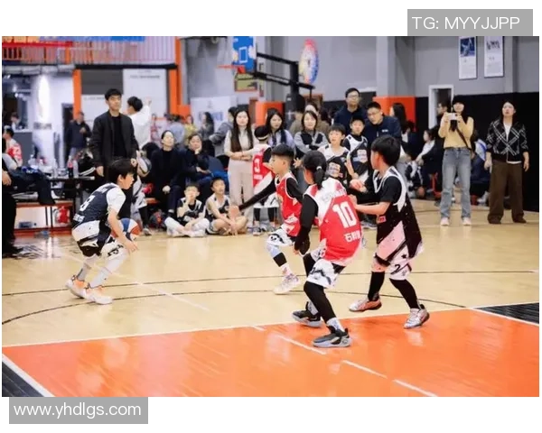 北京篮球队的节奏揭秘：激情与策略交织的篮球盛宴